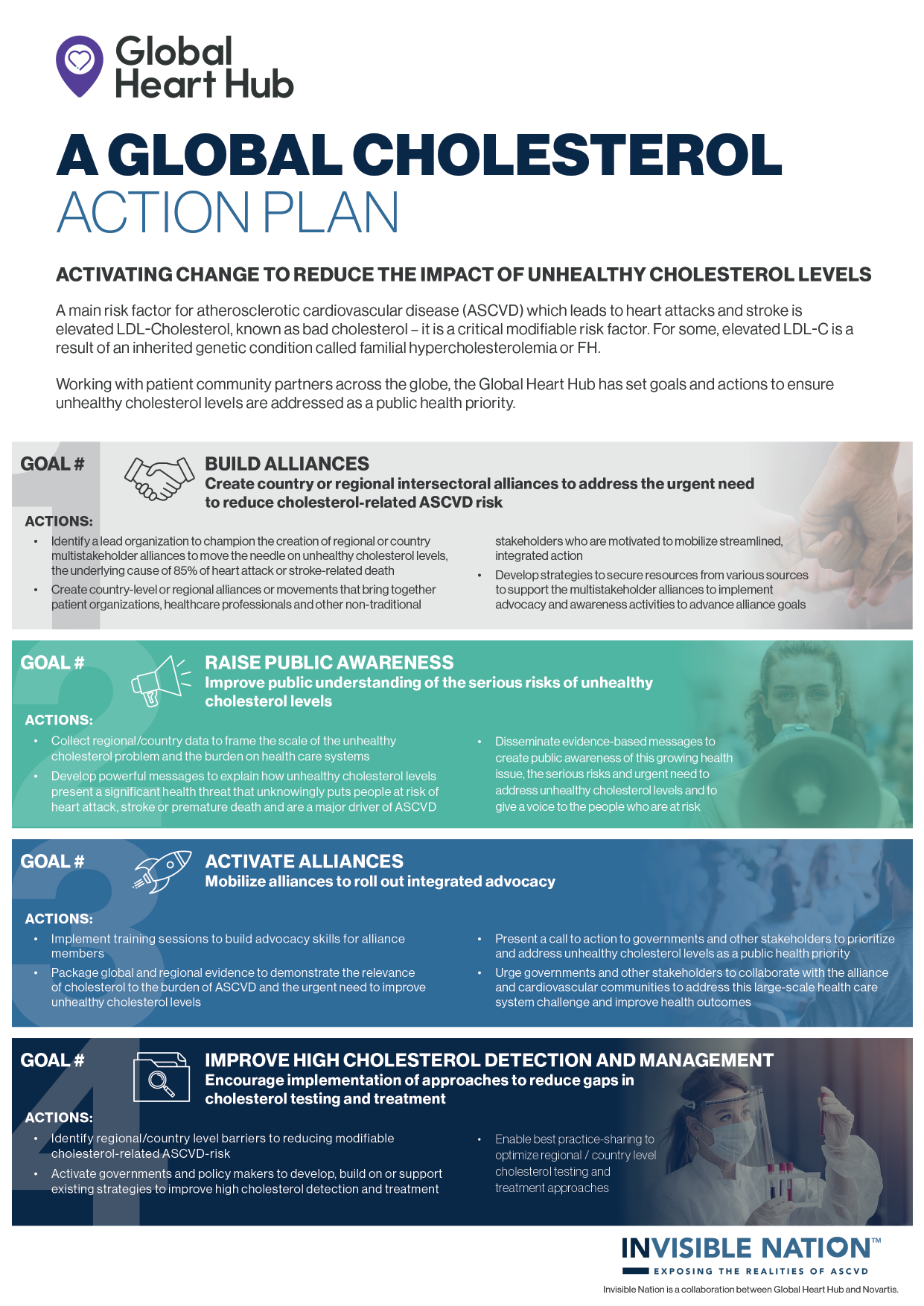 Global Cholesterol Action Plan